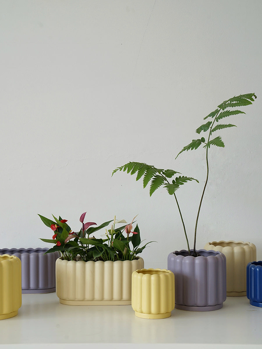 Apricot minimalist ribbed ceramic planter with tray
